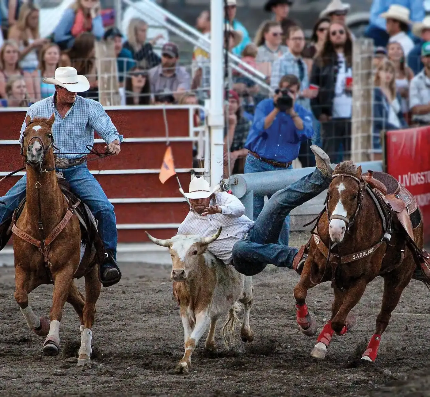 Boot-Top Deep in Montana Rodeo 4 A cowboy leaps from his horse to wrestle a steer in the bulldogging event