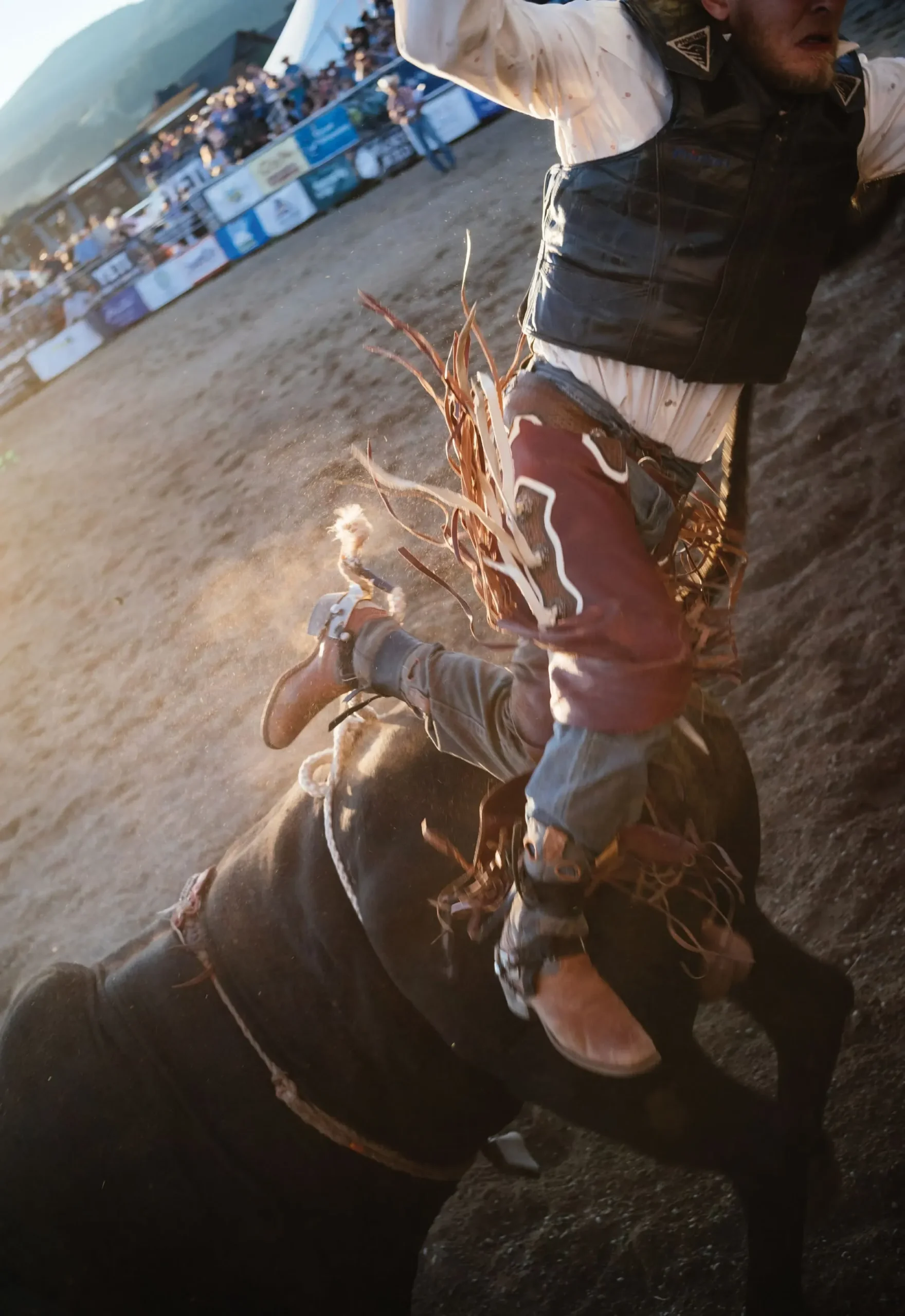 Boot-Top Deep in Montana Rodeo 6 A cowboy is thrown from a bronc after the buzzer