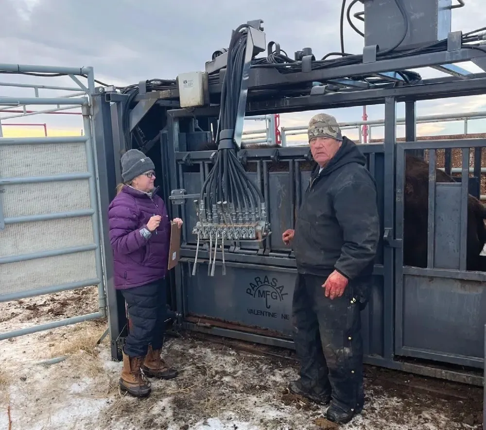 The Guardians of the Last Best Place 6 Working the bison handling corral at Turtle Mound Ranch