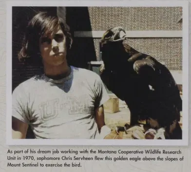 The Guardians of the Last Best Place 4 A young Chris Servheen holding a golden eagle on his arm in 1970