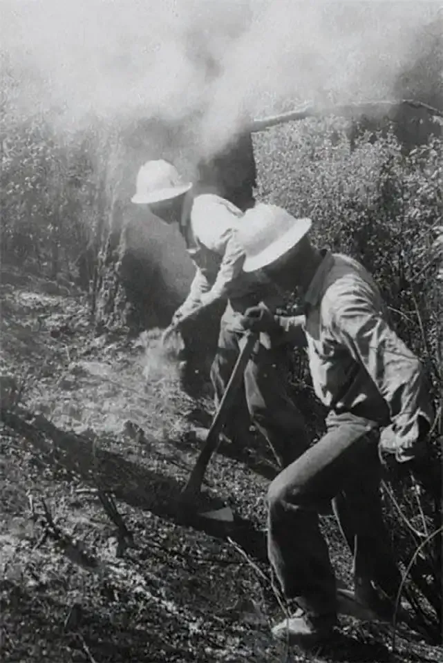 Prisoners setting backfires in the early 1950s