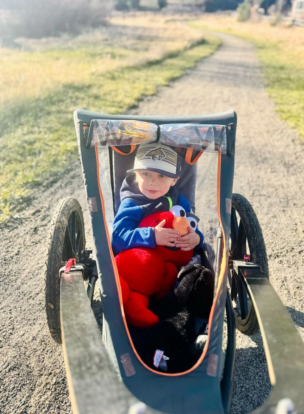 More Than 26.2 Miles 2 Kaley's son Haydon holding Elmo on a training run