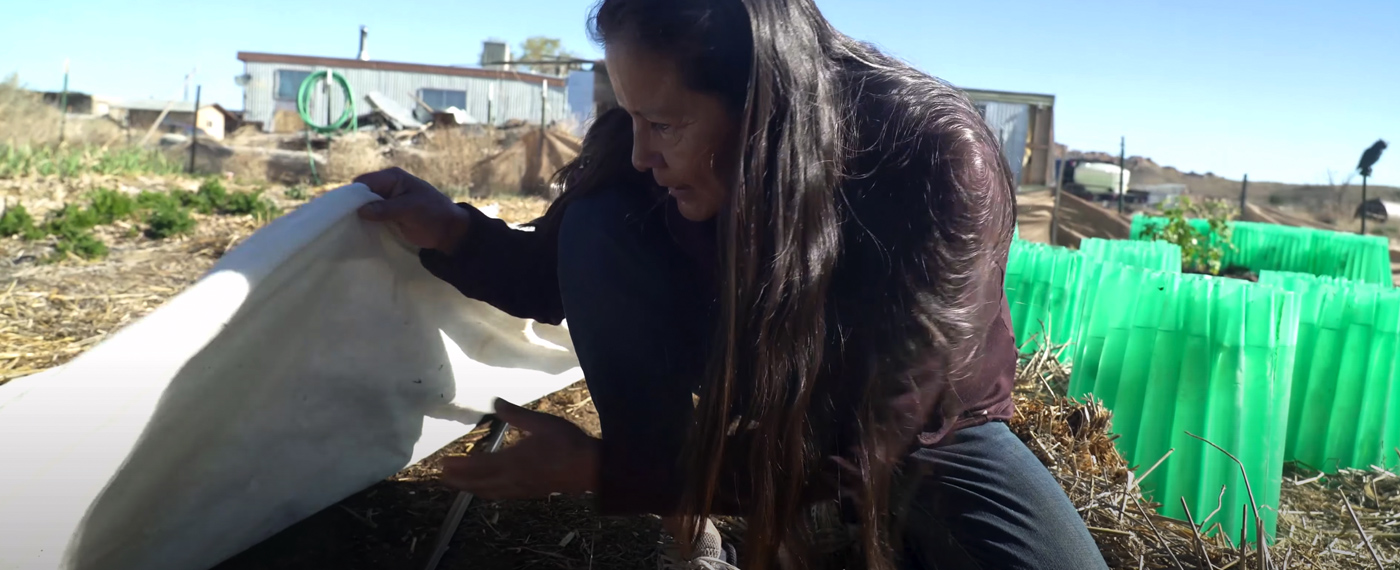 outboundHarvest 3 video