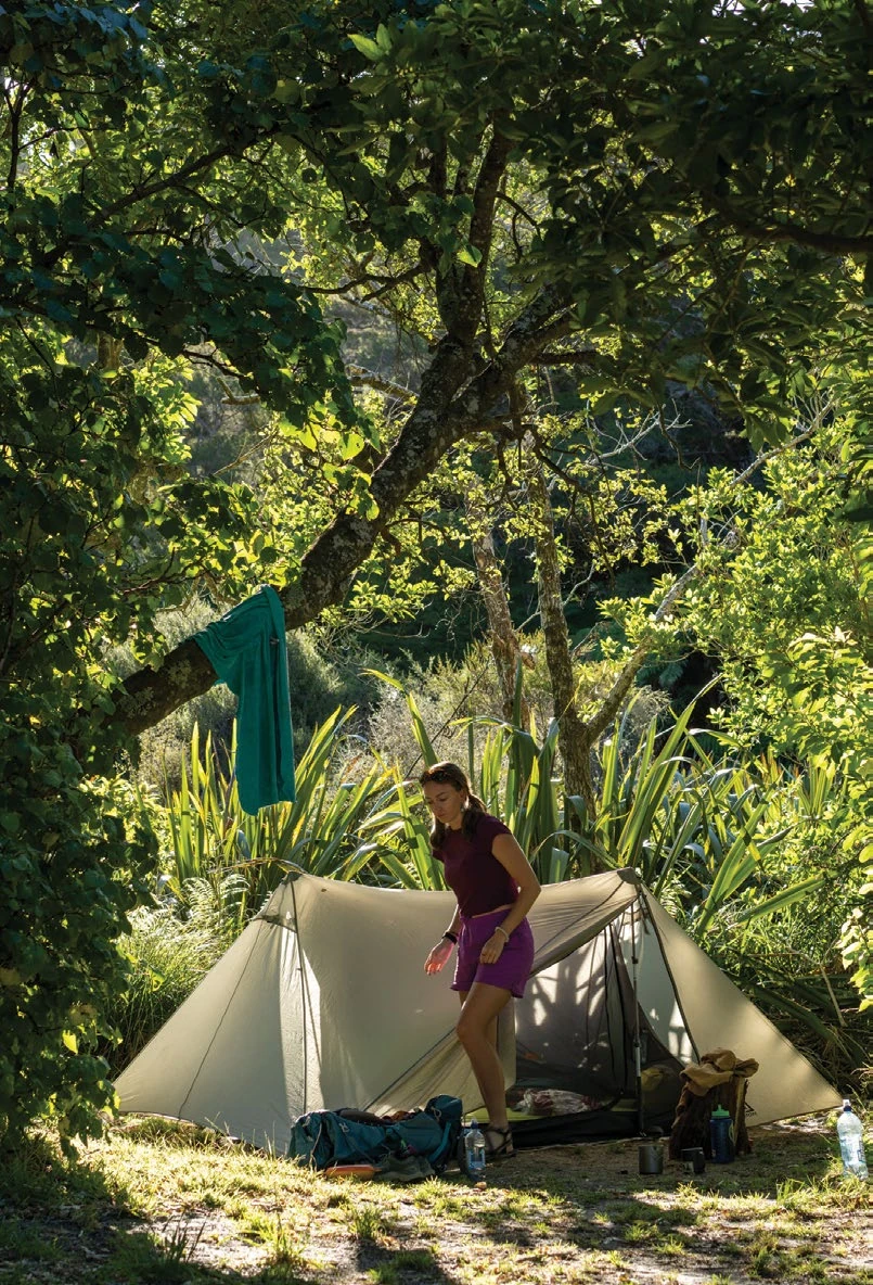 A verdant campsite along the Abel Tasman Track beside a tropical bay