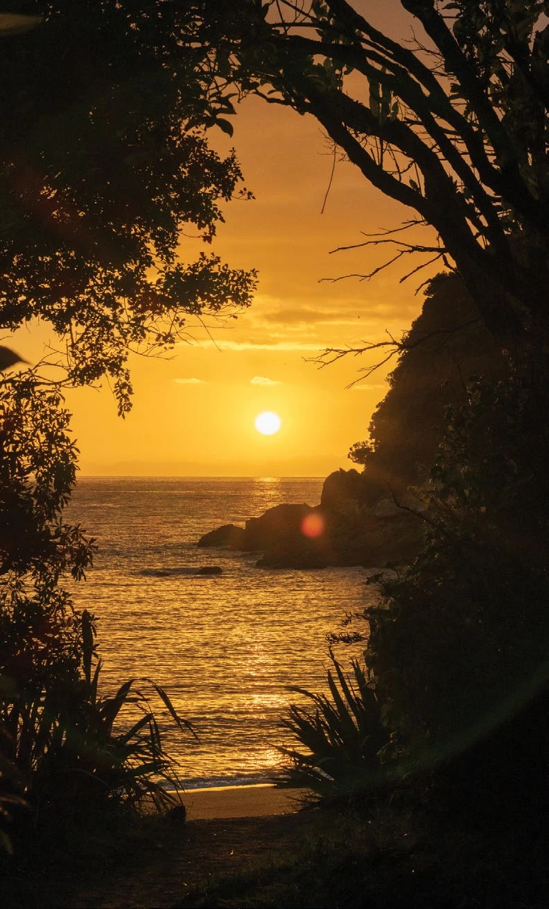 Sunrise casting a golden hue over a small bay framed by trees